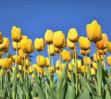 Aan Zee Op 150 Meter * Egmond aan Zee