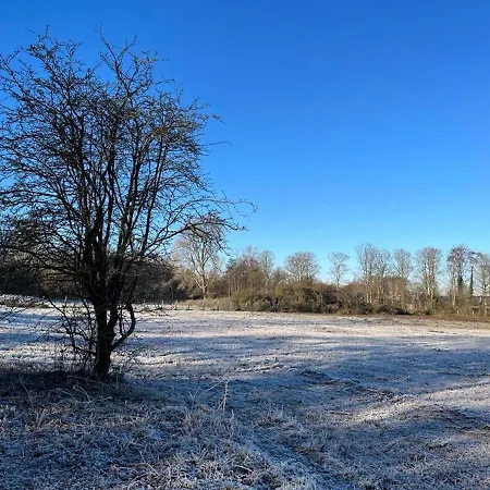 Aan Zee Op 150 Meter Lejlighed Egmond aan Zee