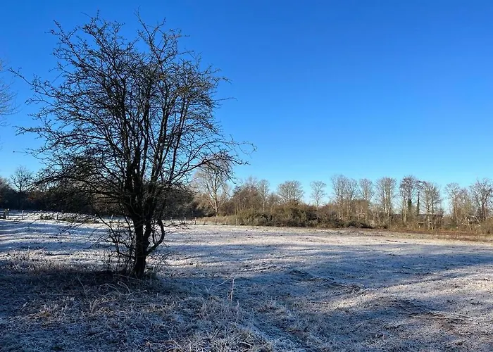 Aan Zee Op 150 Meter 아파트 에크몬드안지