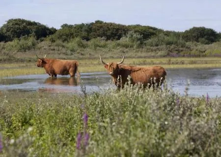 Aan Zee Op 150 Meter Lägenhet *